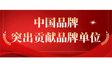6686体育入口获评“突出贡献品牌单位”，树立中国品牌标杆力量